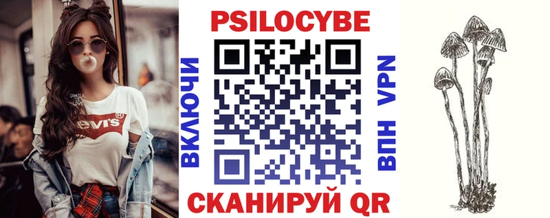 Псилоцибиновые грибы Magic Shrooms  Чернушка 